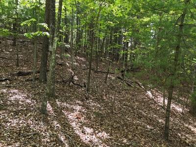 34 Mountain Valley Lane Blairsville GA 30512