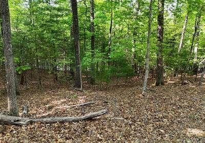 34 Mountain Valley Lane Blairsville GA 30512