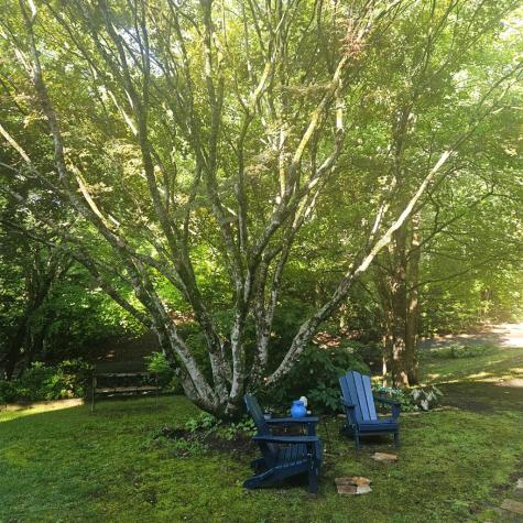 1896 Bell Eagle Drive Hiawassee GA 30546