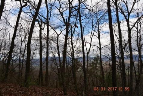 3530 Grape Creek Road Murphy NC 28906