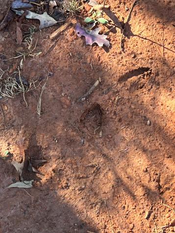 3530 Grape Creek Road Murphy NC 28906