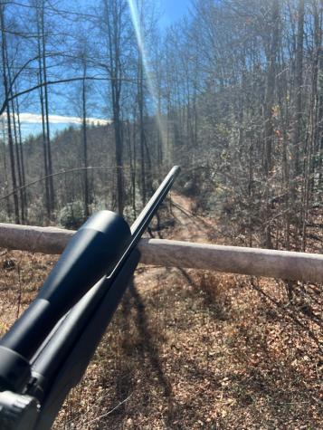 3530 Grape Creek Road Murphy NC 28906