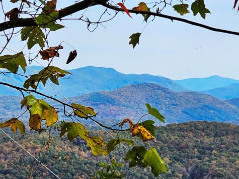 339 Game Trail Drive Brasstown NC 28902