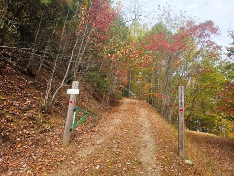 339 Game Trail Drive Brasstown NC 28902