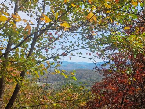 339 Game Trail Drive Brasstown NC 28902