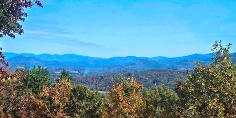 339 Game Trail Drive Brasstown NC 28902
