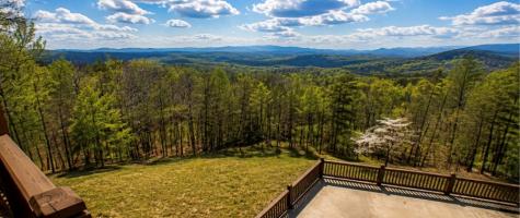 486 Henderson Lane Mineral Bluff GA 30559