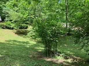 1275 Taylor Road Hiawassee GA 30546