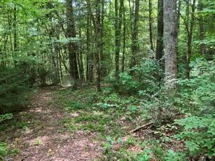 1275 Taylor Road Hiawassee GA 30546