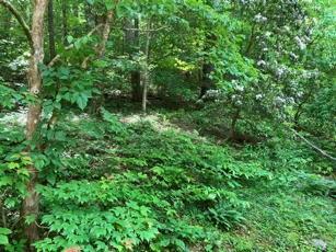 1275 Taylor Road Hiawassee GA 30546