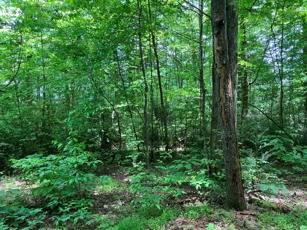 1275 Taylor Road Hiawassee GA 30546