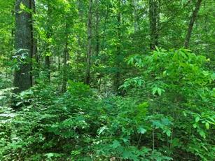 1275 Taylor Road Hiawassee GA 30546