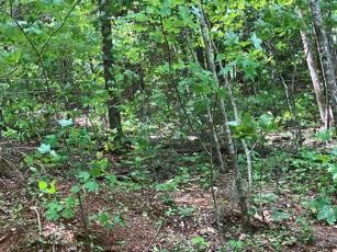 1275 Taylor Road Hiawassee GA 30546