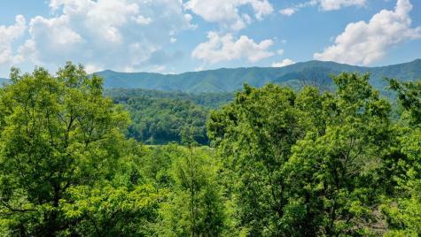 52 Bear Track Road Andrews NC 28901