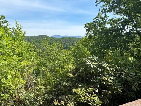 385 Vengeance Creek Park Marble NC 28906