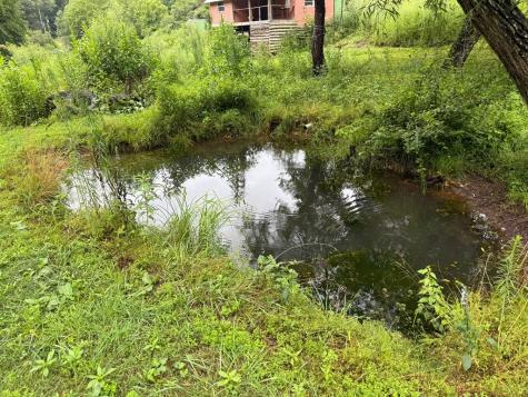 37 Shady Creek Ridge Marble NC 28905