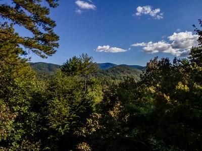 541 Mountain View Circle Cherry Log GA 30522