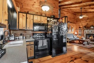 541 Mountain View Circle Cherry Log GA 30522