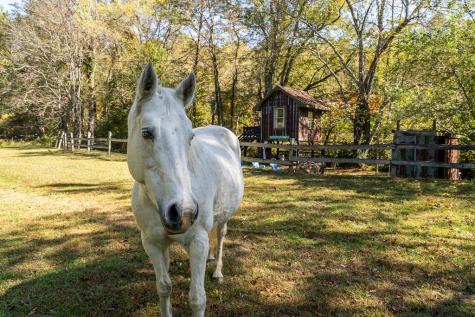 1681 Marrestop Road Murphy NC 28906