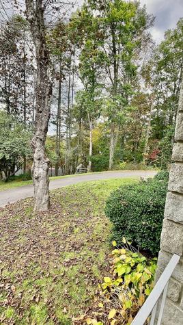 173 Mooreland Heights Murphy NC 28906