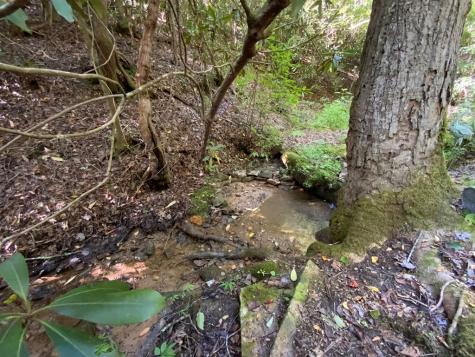 760 Pinedale Lane Andrews NC 28901