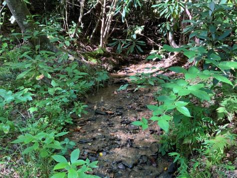 760 Pinedale Lane Andrews NC 28901