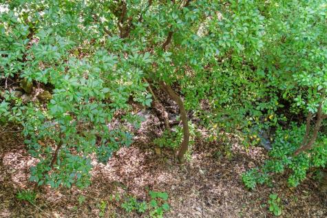 605 White Street Hiawassee GA 30546