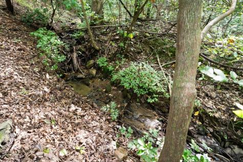 605 White Street Hiawassee GA 30546