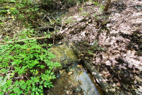 605 White Street Hiawassee GA 30546