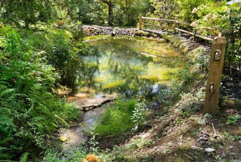 605 White Street Hiawassee GA 30546