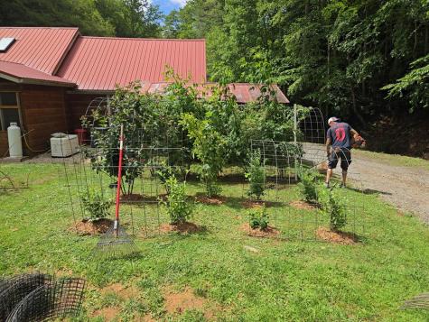 21804 Us Highway 19 Andrews NC 28901