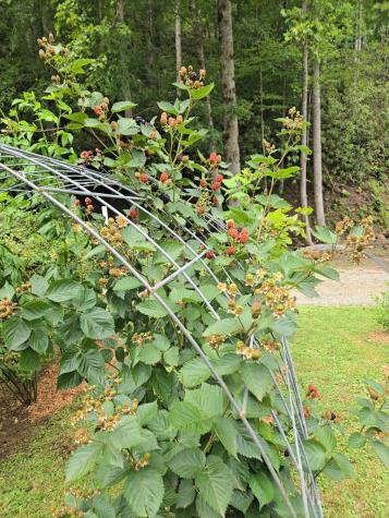 21804 Us Highway 19 Andrews NC 28901