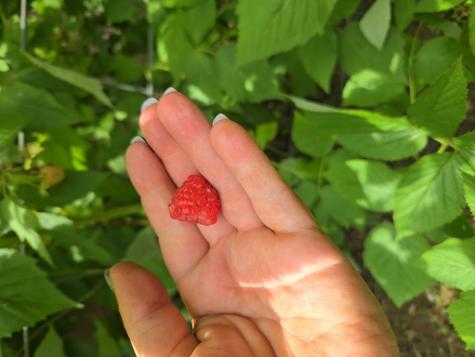 21804 Us Highway 19 Andrews NC 28901