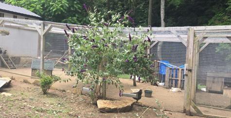 21804 Us Highway 19 Andrews NC 28901