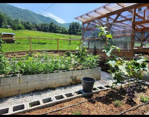 21804 Us Highway 19 Andrews NC 28901