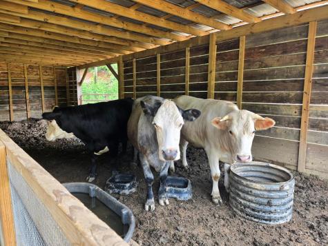 21804 Us Highway 19 Andrews NC 28901