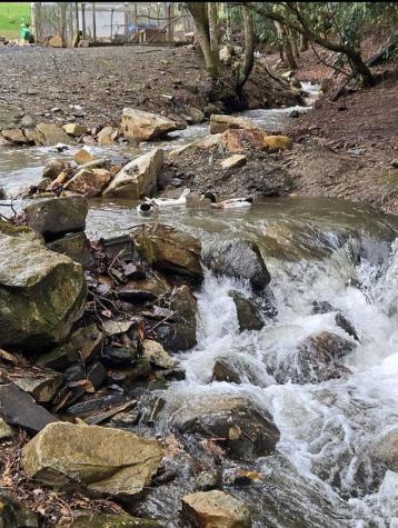 21804 Us Highway 19 Andrews NC 28901