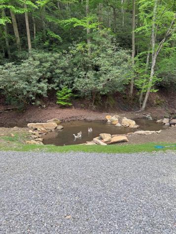 21804 Us Highway 19 Andrews NC 28901