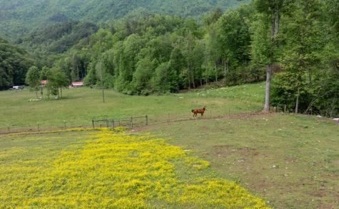 21804 Us Highway 19 Andrews NC 28901