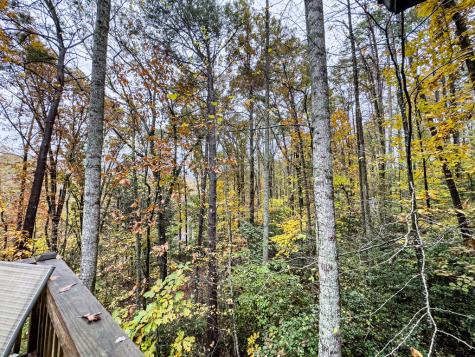 231 Dogwood Circle Hayesville NC 28904