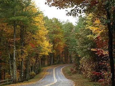 331 Vineyard Creek Way Murphy NC 28906