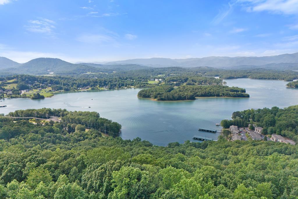 1077 Frog Pond Road Hiawassee GA 30546
