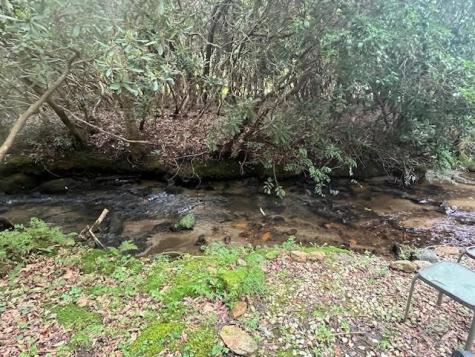 125 Jess Hooper Drive Hayesville NC 28904