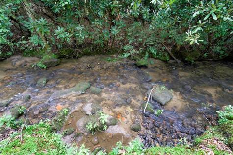 125 Jess Hooper Drive Hayesville NC 28904