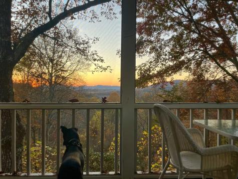 437 Pine Ridge Drive Hayesville NC 28904