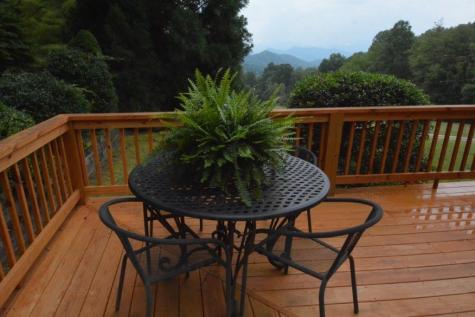 1620 East Buffalo Road Robbinsville NC 28771