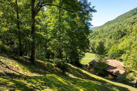 1620 East Buffalo Road Robbinsville NC 28771