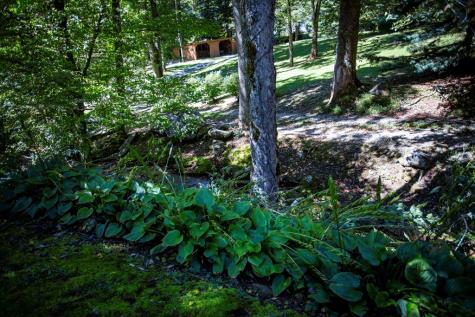 1620 East Buffalo Road Robbinsville NC 28771