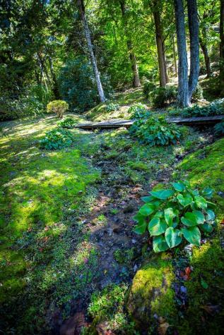 1620 East Buffalo Road Robbinsville NC 28771