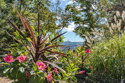 29 Beckwith Road Murphy NC 28906